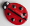 ladybird fridge magnet